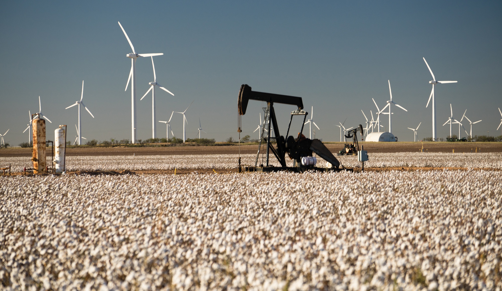 Texas Cotton Filed Textile Agriculture Oil Industry PumpJack